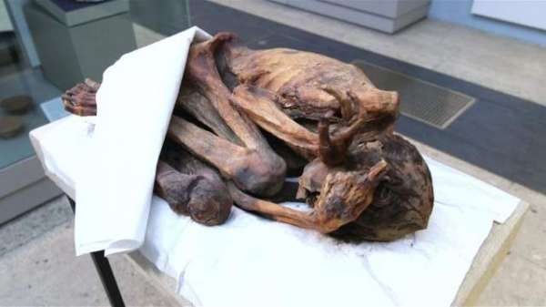 World's 'oldest Tattoos' Found On Ancient Egyptian Mummies