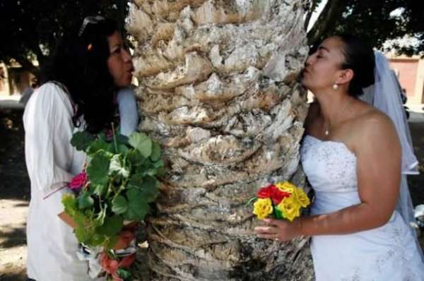 Single Women Get Married To Trees In Ceremony To Save Them