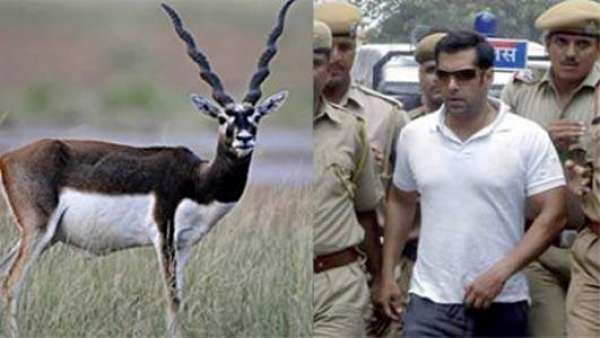 Salman Khan's Black Buck Cse Verdict To Be Announced On 5th April