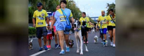 In The Philippines, Dogs Run For A Cause