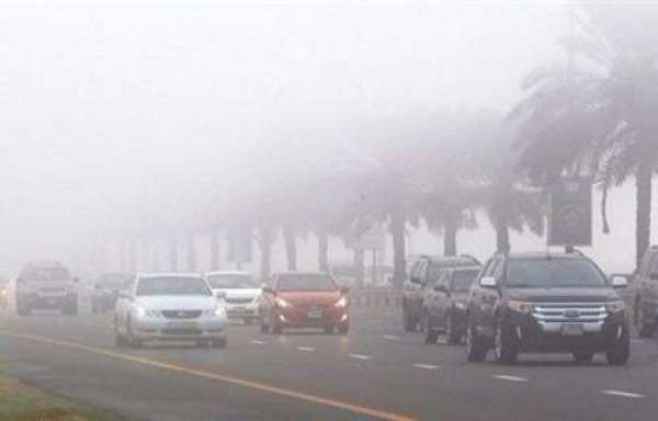 Poor Visibility Warning Up Due To Fog Formation In UAE 