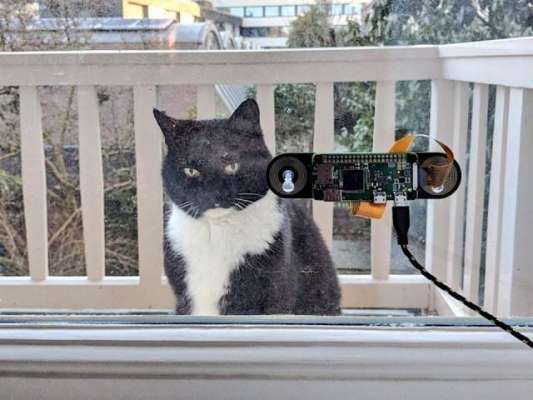 Dutch Engineer Builds Face-Recognition Gadget For His Cat