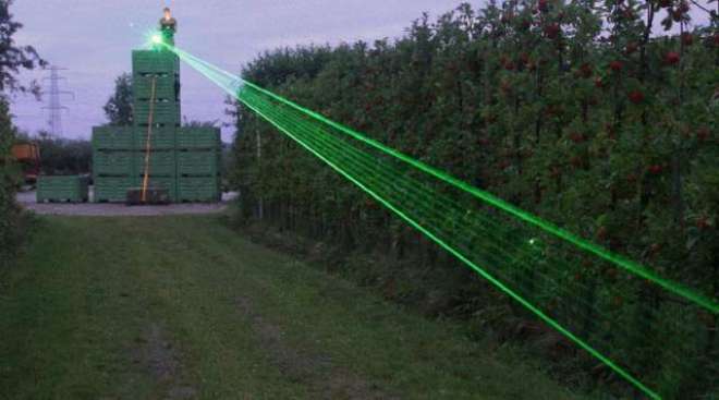 Modern Scarecrows Use Lasers to Keep Hungry Birds At Bay
