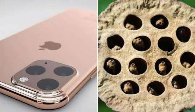 The New iPhone Is Making People With Trypophobia Uncomfortable