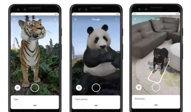 Google puts augmented reality animals in its Search app