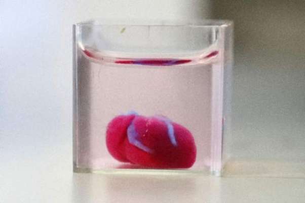 'First' 3D print of heart with human tissue, vessels unveiled