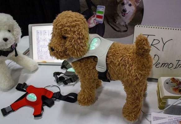 This wearable for dogs claims to reveal their mood